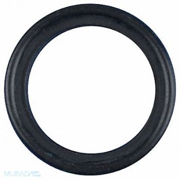 SANI-LOCK Thermocouple Gasket 3/4 In Viton, 38R117