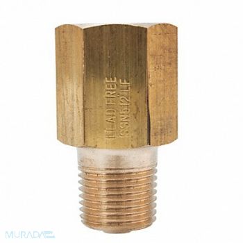 WINTERS Pressure Snubber Lead Free 1/2in.x1/2in., 38VL13