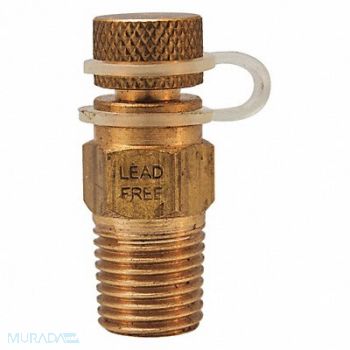 WINTERS Pressure Test Plug LF Brass 1/4 in NPT, 38VL14