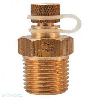 WINTERS Pressure Test Plug LF Brass 1/2 in NPT, 38VL15
