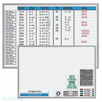 MAGNA VISUAL Magnetic Changeable Planner Kit 36x48, 38Y314