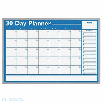 MAGNA VISUAL Planning Board 30 Day 24x36, 38Y315