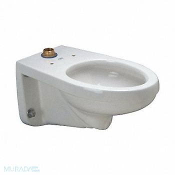 ZURN Toilet Bowl Elongated Wall Flush Valve, 38ZL47