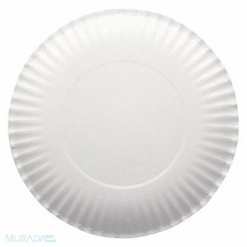 GRAINGER APPROVED Disposable Paper Plate 9 in White PK1000, 39CR71