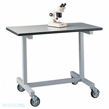 LABCONCO Mobile Bench 38x24x48, 39D540