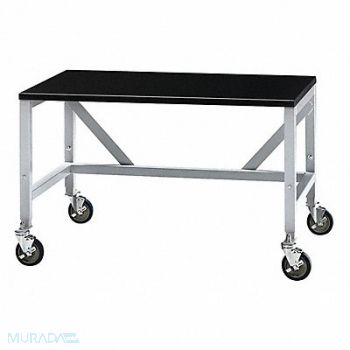 LABCONCO Mobile Equipment Table 36x48x30, 39D541