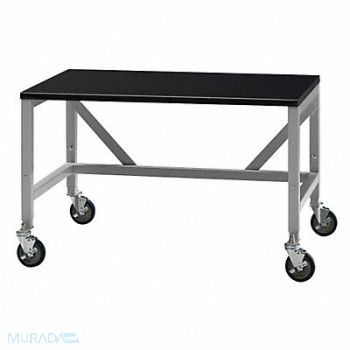 LABCONCO Mobile Equipment Table 36x72x30, 39D543