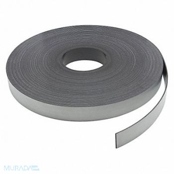 GENERAL Magnetic Strip Indoor/Outdoor 100 ft., 39EP39
