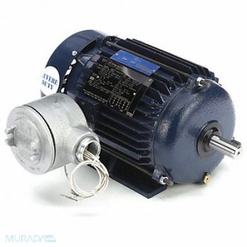 MARATHON MOTORS Motor 2 HP 1755 rpm 145T 230/460V, 39W943