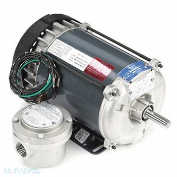 MARATHON MOTORS Motor 1/2 HP 1725 rpm 56 208-230/460V, 39X605