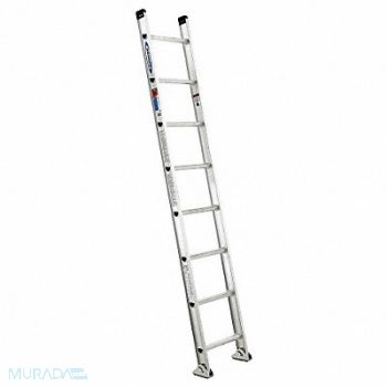 WERNER Ladder 8 ft.H 18-1/8 In W Aluminum, 3AZU7