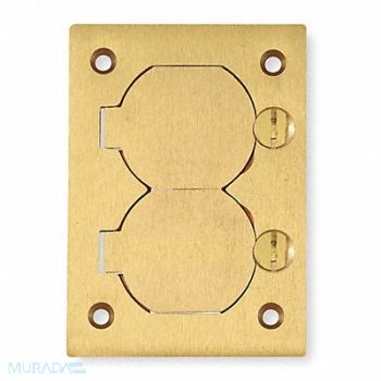 HUBBELL WIRING DEVICE-KELLEMS Cover Floor Box, 3D443