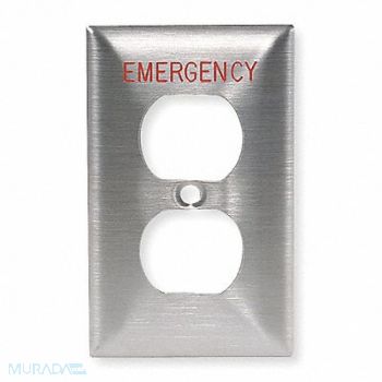 HUBBELL Dup Recept Wll Plt Stnd Silver 1Gng Brsh, 3D446