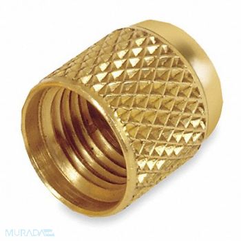 JB INDUSTRIES 3/8 SAE Cap w/ Gasket PK3, 3DXG3