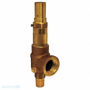 APOLLO D4502 Safety Relief Valve 2 x 2-1/2 In 150 psi, 5LXY7
