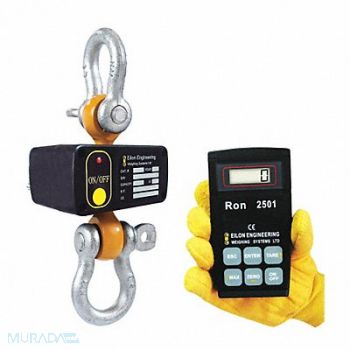 RON CRANE SCALES Crane Dyno w/Rmte Display 10 000lb.Cap, 3EKX4