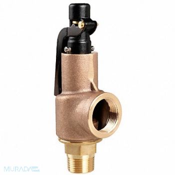 AQUATROL D4513 Safety Relief Valve 1 x 1-1/4 In 175 psi, 3ERP1