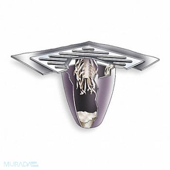 ULTRATECH Drain Guard Plus Oil Sediment Model, 3EWN9