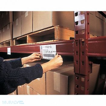 HOL-DEX Lbl Hldr Insrt Shts White 5 in 3 in PK50, 9NL77