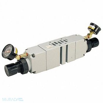 SPEEDAIRE Manifold Air Regulator 145 psi 120F, 3GAA9