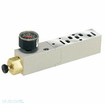 SPEEDAIRE Manifold Air Regulator 145 psi 120F, 3GAD4