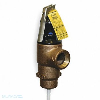 APOLLO T and P Relief Valve MNPT x FNPT, 3HFG5