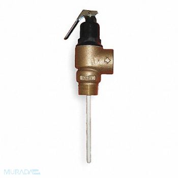 APOLLO T and P Relief Valve FNPT 1-1/2 In Inlet, 3HFG6