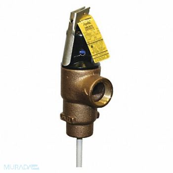 APOLLO T and P Relief Valve FNPT 3/4 in Inlet, 3HFG2