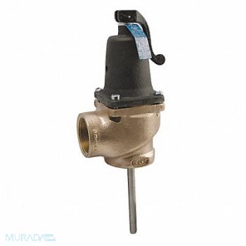 APOLLO T and P Relief Valve FNPT 1-1/2 In Inlet, 3HFG7