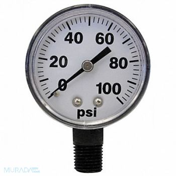 FIMCO Pressure Gauge 0 to 100 psi 2In 1/4In, 3JEL9