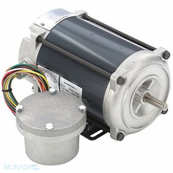 MARATHON MOTORS Motor 1/4 HP 1725 rpm 48 115/230V, 3K793