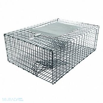 KNESS PEST DEFENSE Bird Trap 17-1/4 in L 12-1/4 in W, 3KJH7