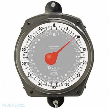 TAYLOR Hanging Scale Dial 32kg/70 lb Capacity, 3NZH8