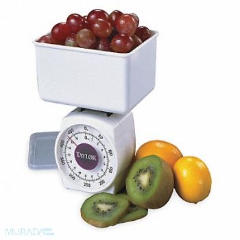 TAYLOR Dial Scale Plastic 1 lb Weight Cap. Whte, 3NZN2