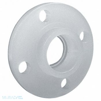 ORION Flange 3/4 in Schedule 80 150 PSI, 3PFR5