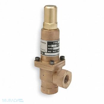 CASH VALVE Pressure Relief Valve 3/4 In 1000 psi, 5WNJ9