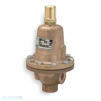 CASH VALVE Pressure Relief Valve 1/2 In 275 psi SS, 3RAA7