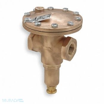 CASH VALVE Vacuum Regulator 1/2 In 2 to 30 in Hg, 3RAE9