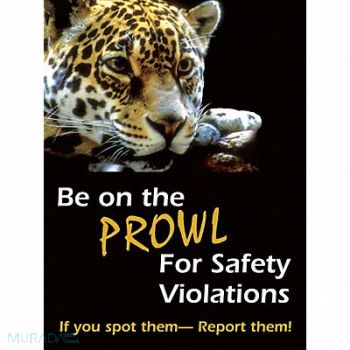 ACCUFORM Safety Poster 22 in x 17 in Plastic, 3TZE9