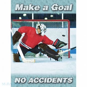 ACCUFORM Safety Poster 22 in x 17 in Plastic, 3TZF1