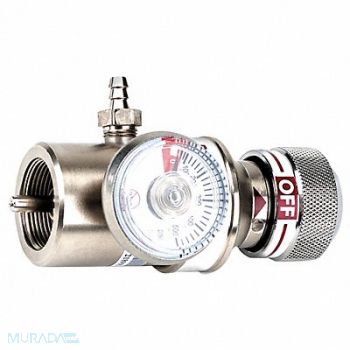 BW TECHNOLOGIES Gas Regulator 0.5Lpm, 3UAH7