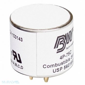 BW TECHNOLOGIES Replacement Sensor Combustibles, 3WRH1