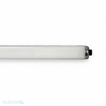 CURRENT Linear FLUOR Bulb T12 57-3/4 L 6500K, 4V931