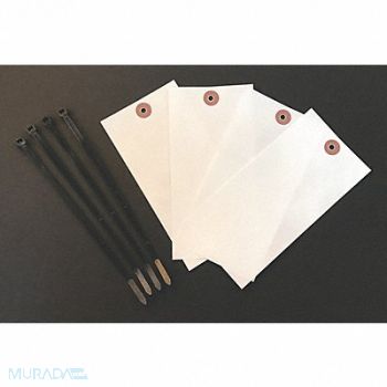 QUALITY RESOURCE GROUP Blank Shipping Tag Tyvek Colored PK100, 3VCG3