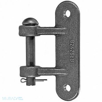 BUYERS PRODUCTS Butt Hinge with Pin, 3VTY1