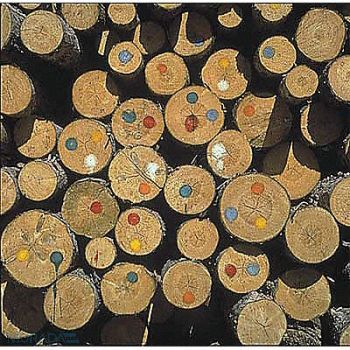 NELSON PAINT Felt Applicator, 3WFW4