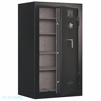MESA SAFE COMPANY Gun Safe Shaped Handle/Burglary/Fire, 40CJ33