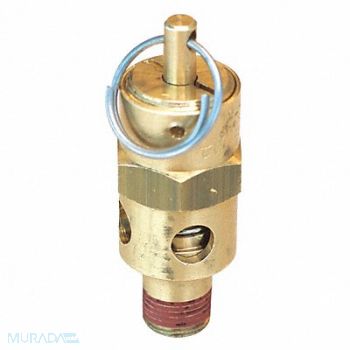 GUARDIAN EQUIPMENT Pressure Relief Valve, 40HZ39