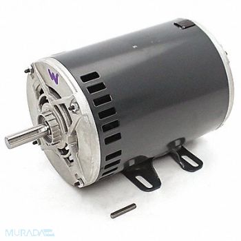 CARRIER Motor 208/230/460V 3-Phase 1725 rpm, 40LW35