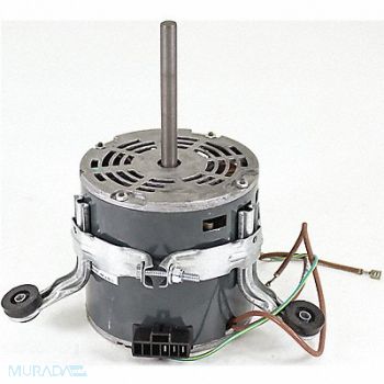 TITUS Motor 277V 3/4 HP, 40LY97